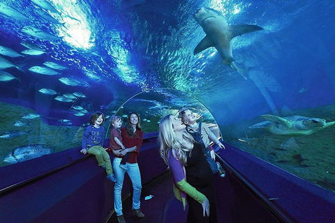 General Admission Entry At AQWA - Coogee Beach Accommodation 1