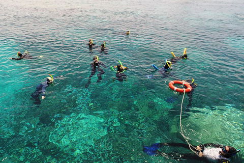 Seastar Luxury Outer Great Barrier Reef Island And Reef Tour From Cairns - Coogee Beach Accommodation 2