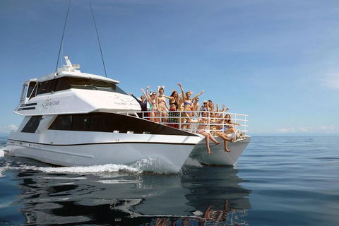 Seastar Luxury Outer Great Barrier Reef Island And Reef Tour From Cairns - Coogee Beach Accommodation 4
