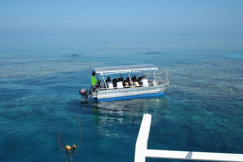 Seastar Luxury Outer Great Barrier Reef Island And Reef Tour From Cairns - Coogee Beach Accommodation 5