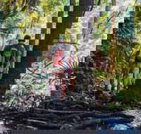 Hike to the Figure Eight Pools - Coogee Beach Accommodation