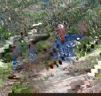 Small-Group Blue Mountains Tour with Bush Walks and Featherdale Wildlife Park - Coogee Beach Accommodation