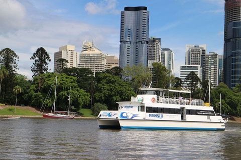 Lone Pine Koala Sanctuary Admission With Brisbane River Cruise - Coogee Beach Accommodation 2