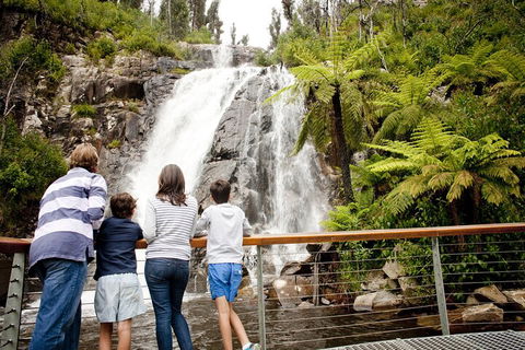 Lake Mountain Snow Trip Including Yarra Valley Chocolaterie From Melbourne - Coogee Beach Accommodation 0