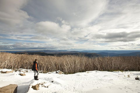 Lake Mountain Snow Trip Including Yarra Valley Chocolaterie From Melbourne - Coogee Beach Accommodation 5