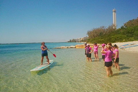 Golden Beach 1-Hour Stand-Up Paddleboard Hire On The Sunshine Coast - Coogee Beach Accommodation 1