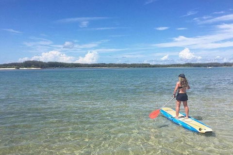 Golden Beach 1-Hour Stand-Up Paddleboard Hire On The Sunshine Coast - Coogee Beach Accommodation 4