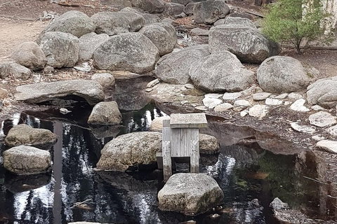 Bendigo, Echuca & The Mighty Murray - Coogee Beach Accommodation 1