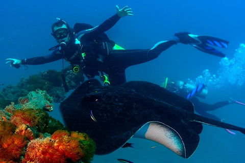 Scuba Dive The S.S. Yongala Wreck On The Great Barrier Reef. - Coogee Beach Accommodation 0