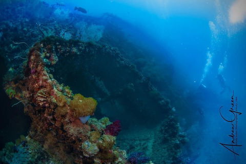 Scuba Dive The S.S. Yongala Wreck On The Great Barrier Reef. - Coogee Beach Accommodation 3
