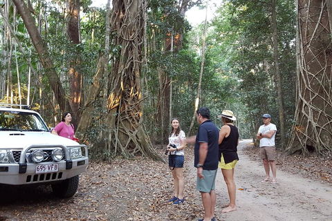 Great Beach Drive 4WD Tour - Private Charter From Noosa To Rainbow Beach - Coogee Beach Accommodation 1