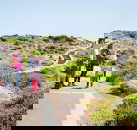 Margaret River Coastal and Wildlife Eco Trip from Busselton or Dunsborough - Coogee Beach Accommodation