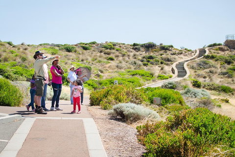 Margaret River Coastal And Wildlife Eco Trip From Busselton Or Dunsborough - Coogee Beach Accommodation 0