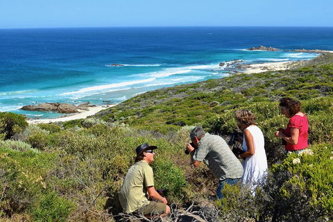 Margaret River Coastal And Wildlife Eco Trip From Busselton Or Dunsborough - Coogee Beach Accommodation 2