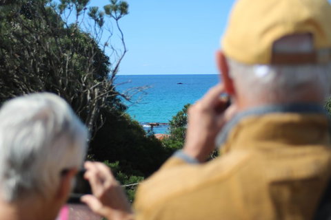 Margaret River Coastal And Wildlife Eco Trip From Busselton Or Dunsborough - Coogee Beach Accommodation 5